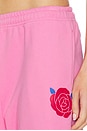 view 7 of 7 PANTALÓN DEPORTIVO BE KIND CLASSIC in Pink