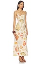 view 2 of 3 ROBE COLLECTOR in Shell