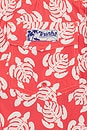 view 5 of 5 SHORT DE BAIN SANO in Dried Hibiscus
