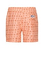 view 2 of 4 SHORT NATACIÓN SANO in Coral