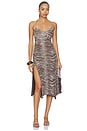 view 1 of 3 Arden Dress in Neutral Zebra