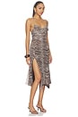view 2 of 3 Arden Dress in Neutral Zebra