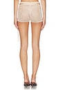 view 4 of 6 Fern Crochet Short in Champagne