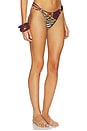 view 2 of 5 Sharli Bikini Bottom in Multi