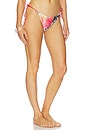 view 2 of 4 Finlea Bikini Bottom in Animalier Floral