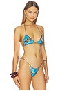 view 2 of 4 Ave Bikini Top in Blue