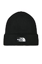 view 2 of 3 Logo Box Cuffed Beanie in Black
