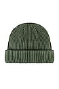 view 3 of 3 Salty Dog Beanie in Thyme