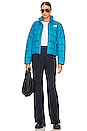 view 5 of 5 TNF Jacket 2000 in Acoustic Blue