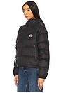 view 3 of 6 Hydrenalite Down Hoodie in TNF Black
