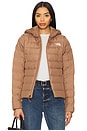 view 1 of 6 Aconcagua 3 Hoodie in Latte