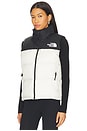 view 2 of 4 1996 Retro Nuptse Vest in White Dune & Black