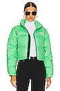 view 1 of 5 Nuptse Short Jacket in Chlorophyll Green