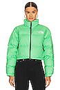 view 2 of 5 Nuptse Short Jacket in Chlorophyll Green