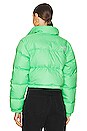 view 4 of 5 BLOUSON in Chlorophyll Green