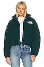 view 1 of 5 High Pile Nuptse Jacket in Ponderosa Green