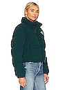 view 3 of 5 High Pile Nuptse Jacket in Ponderosa Green