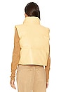 view 4 of 5 Atlas Faux Leather Vest in Mellow Yellow