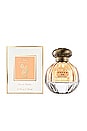 view 2 of 2 Stella Eau de Parfum in Citrus