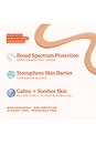 view 8 of 10 SOS Faceguard Broad Spectrum SPF 30 in 