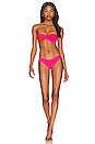 view 5 of 5 Bonded Curve Bikini Bottom in Dahlia & Red