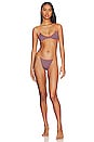 view 4 of 4 BRAGUITA BIKINI RIO in Raisin