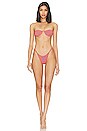 view 4 of 4 Luna Bikini Bottom in Tyger Vitamin
