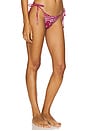 view 2 of 4 PRAIA ビキニボトム in Red Bandana
