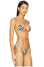 view 2 of 4 Equator Bikini Top in Baby Cheetah
