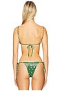 view 3 of 4 ТОП БИКИНИ EQUATOR in Palma Bandana