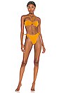view 4 of 5 Savanna Bikini Bottom in Burnt Orange