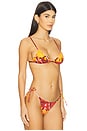 view 2 of 4 Equator Triangle Bikini Top in Paradise
