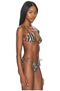 view 2 of 4 Equator Bikini Top in Ocelot