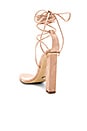 view 3 of 5 ESCARPINS KENDALL in Clear Vinalyte & Blush Kid Suede