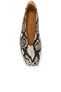 view 5 of 5 Bash Ballet Flat in Ecru Snake