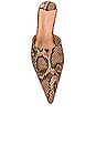 view 4 of 5 MULES in Brown Multi Snake