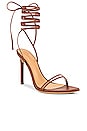 view 2 of 5 Millie Sandal in Rust Nappa