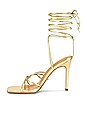 view 5 of 5 FELIZ サンダル in Gold Nappa Metallic