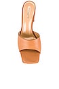 view 4 of 5 Cyrus Sandal in Tan