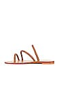 view 5 of 5 SANDALES FINN in Tan