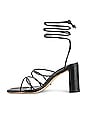 view 5 of 5 Carlie Sandal in Black Nappa