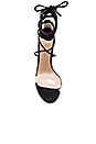 view 4 of 5 TACONES KENDALL in Clear & Black Suede