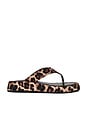 view 1 of 5 Ives Sandal in Leopard