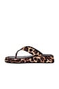 view 5 of 5 Ives Sandal in Leopard