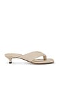 view 1 of 5 Tropic Sandal in Vanilla