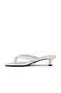 view 5 of 5 Pluto Sandal in Dove