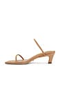 view 5 of 5 Tash Sandal in Skin Phoenix