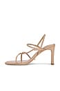 view 5 of 5 Calais Sandal in Skin Nappa