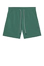view 4 of 5 Mesa Shorts in Evergreen
