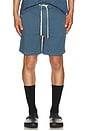 view 4 of 5 Dirt Shorts in Stone Blue